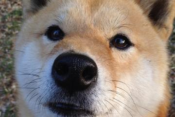 开云体育官网-冰火两重天，爱德华兹的孤星闪耀与凯尔特人的窒息美学