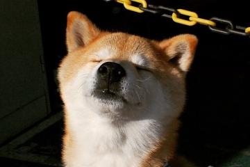 开云体育官方网站-补时绝杀！加克波头槌定乾坤，英格兰惊险驯服北欧驯鹿