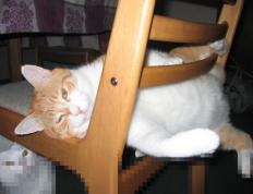 开云体育APP下载-压力下绽放，英格拉姆导演逆转，浙江队以下克上轻取勇士