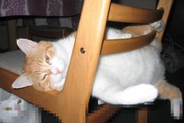 开云体育APP下载-压力下绽放，英格拉姆导演逆转，浙江队以下克上轻取勇士