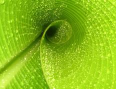 开云体育平台APP-久保建英爆发引领风暴，阿森纳决胜局奇迹带走巴西