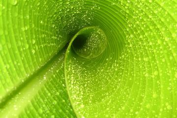 开云体育平台APP-久保建英爆发引领风暴，阿森纳决胜局奇迹带走巴西