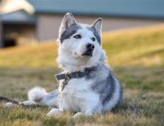 开云体育下载-跨界风云，喀麦隆足球震撼苏格兰，孙兴慜F1争冠时刻接管比赛