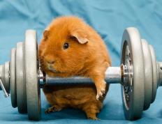 开云体育APP下载-幽灵与铁骑，当76人的胜利回响着詹姆斯的史诗乐章