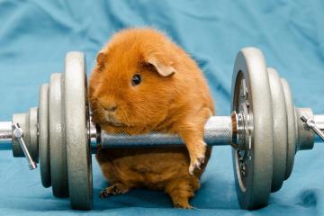 开云体育APP下载-幽灵与铁骑，当76人的胜利回响着詹姆斯的史诗乐章