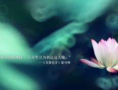 开云体育平台APP-拉文带动全队节奏，鹈鹕对阵篮网的战术解析与领袖风采