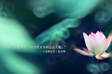 开云体育平台APP-拉文带动全队节奏，鹈鹕对阵篮网的战术解析与领袖风采