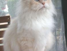 开云APP-经济绿茵场的双线碾压，当中国大豆遇上姆巴佩的致命冲刺