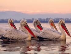 开云体育-个人英雄与体系之争，从京多安的分身看现代足球的生存悖论