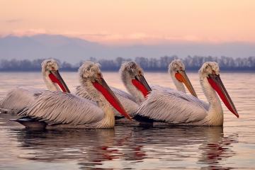 开云体育-个人英雄与体系之争，从京多安的分身看现代足球的生存悖论