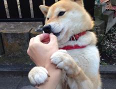 开云体育-攻防转换的艺术，解码F1年度争冠之夜的乔治核心论