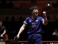 开云体育-德国乒乓球队完胜奥地利乒乓球队，张本智和关键制胜的简单介绍