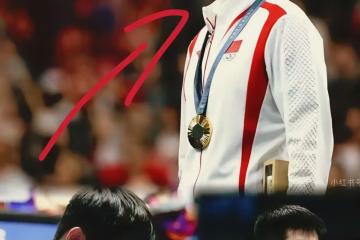 开云体育入口-法国队完胜奥地利队，樊振东刷新纪录