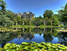 开云体育下载-深圳掀翻猛龙！西亚卡姆独挑大梁成关键先生