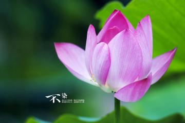 开云体育下载-坎特化身巴黎钢铁骨架，攻防两端的绝对统治者