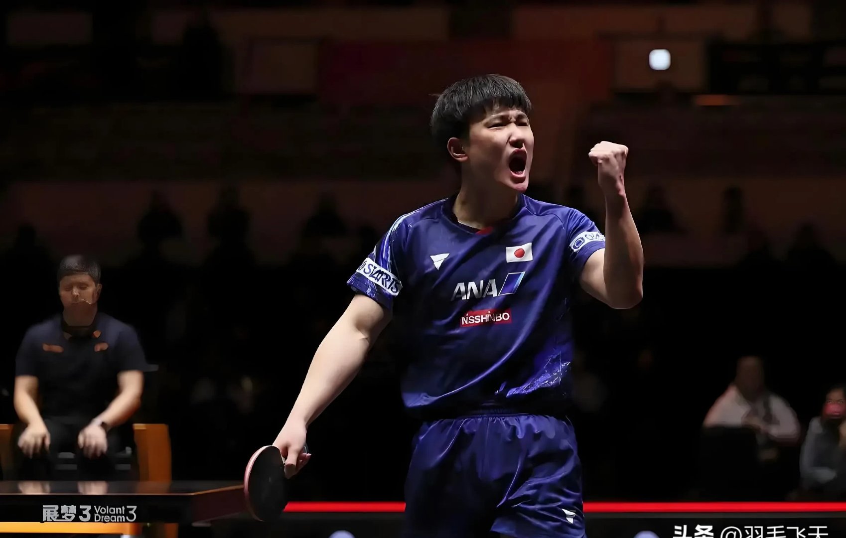 开云体育-德国乒乓球队完胜奥地利乒乓球队，张本智和关键制胜的简单介绍