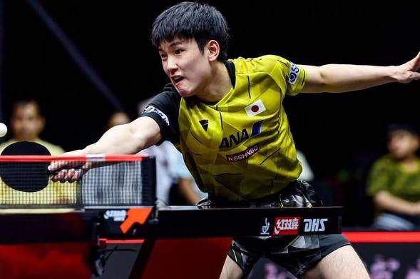 开云体育-德国乒乓球队完胜奥地利乒乓球队，张本智和关键制胜的简单介绍