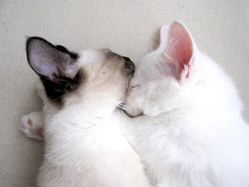 开云体育平台APP-钢铁中卫的审判日，当德里赫特将防线打爆变成动词