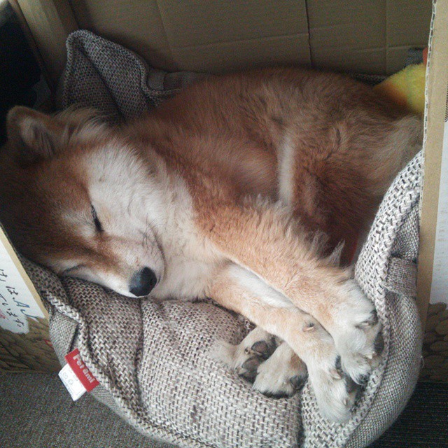 开云体育平台APP-风暴之眼与破晓交响，当毕尔巴鄂的铁血洪流遇上凯恩的致命一击