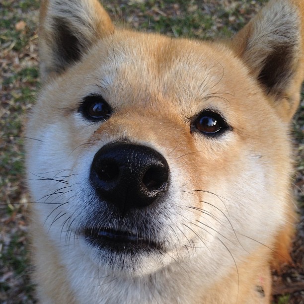 开云体育官网-冰火两重天，爱德华兹的孤星闪耀与凯尔特人的窒息美学