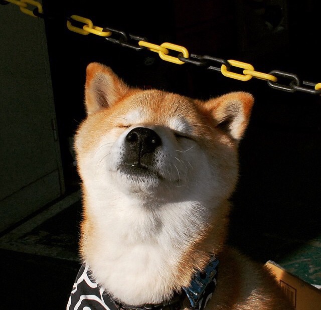 开云体育官方网站-补时绝杀！加克波头槌定乾坤，英格兰惊险驯服北欧驯鹿