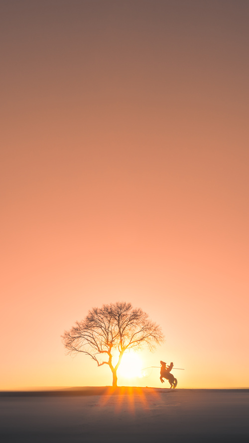 开云体育-窒息式绞杀，黄蜂连续得分狂潮锁定抢七生死战