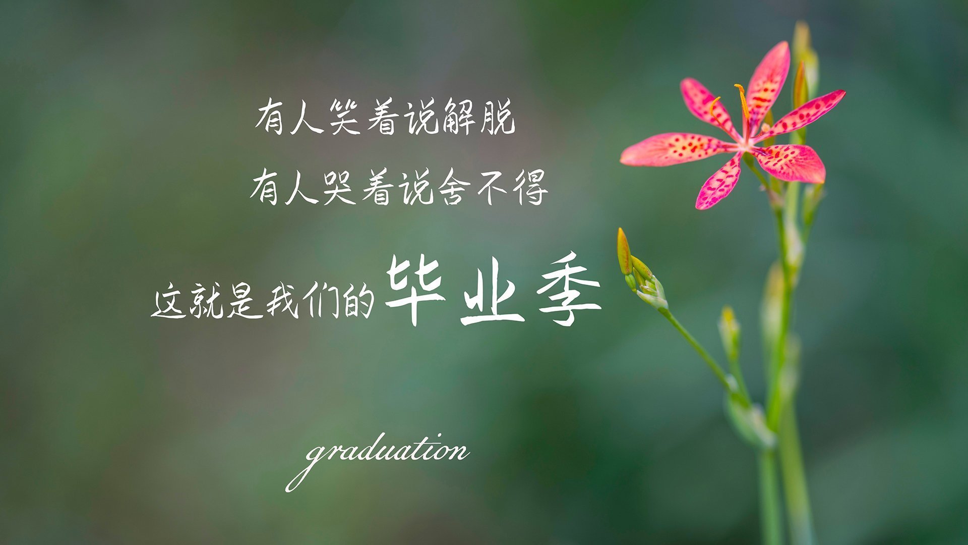 开云体育在线-威尔士征服尼斯,门迪的钢铁防线如何导演一场完美的全面压制