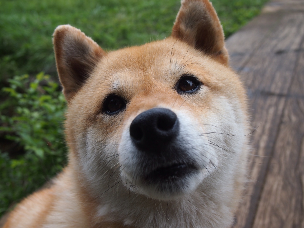 开云体育中国-压哨绝杀!奥运周期关键战,关键先生卢卡库接管比赛