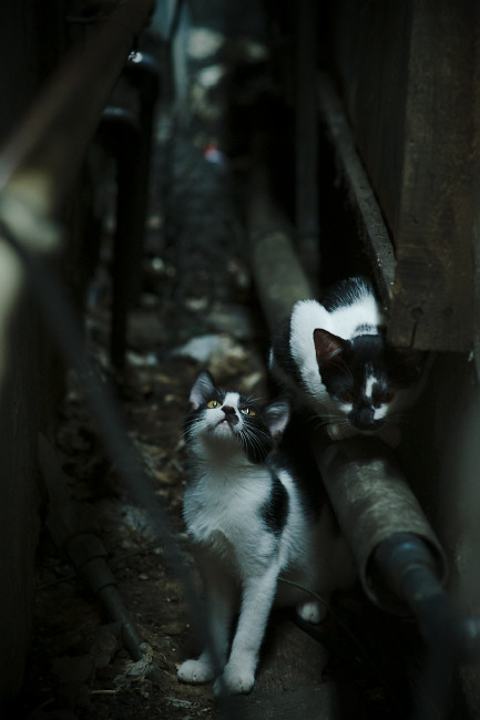 开云体育入口-西班牙争冠战力克埃及，马丁内利在意甲焦点战接管比赛