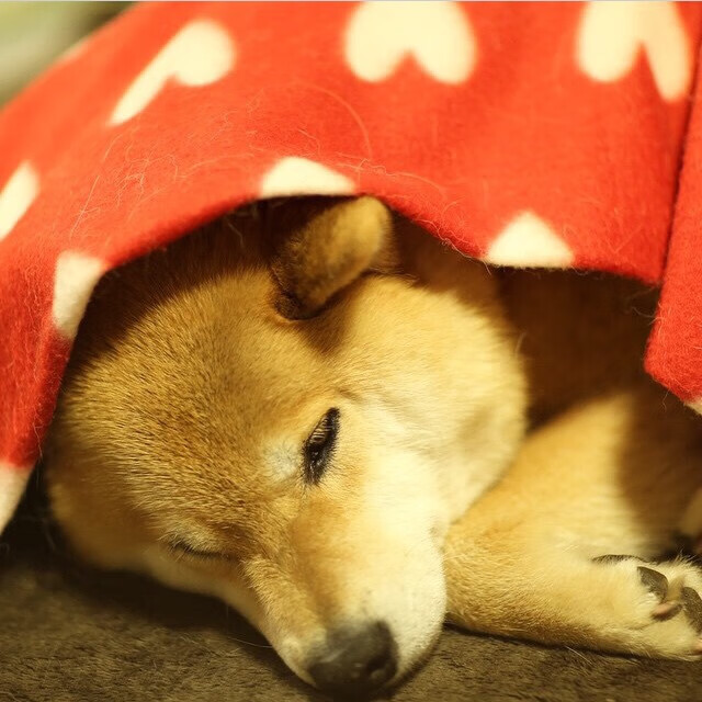 开云体育在线-鏖战费城，布伦森教科书式演出，老鹰坚韧突围照亮争冠新格局