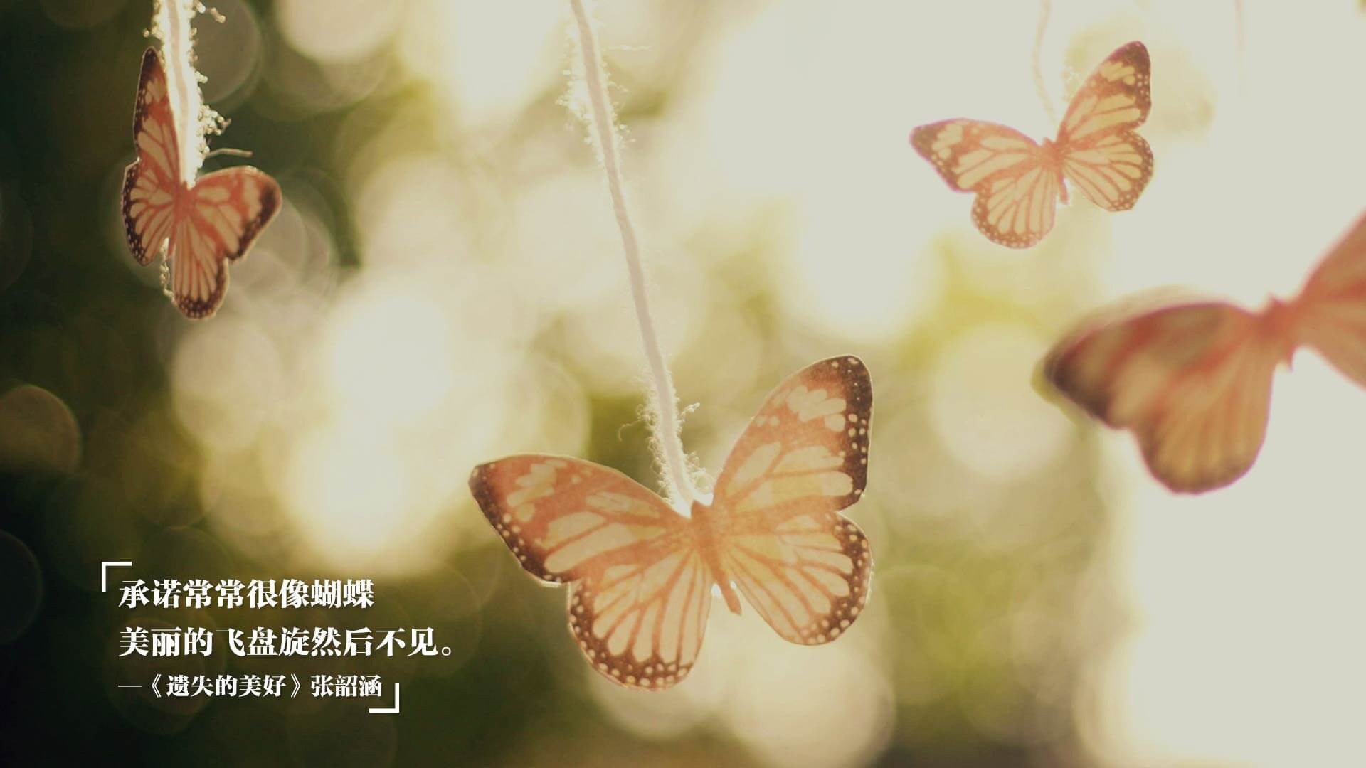 开云体育官网-抢七封神夜！弗拉霍维奇极限输出摧毁对手防线