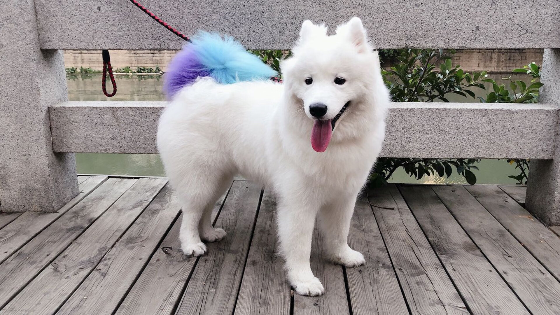 开云体育平台APP-双线狂飙，当国王鏖战勇士，欧文在德甲地平线升起