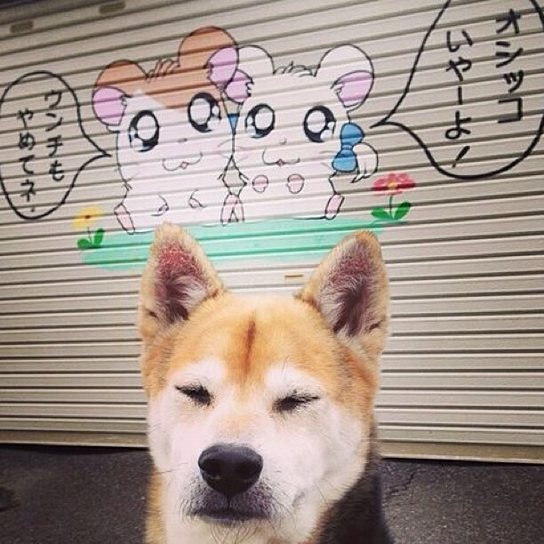 开云体育中国-篮球与足球的统治力交响曲,76人碾压奇才,切特在2026世界杯接管比赛