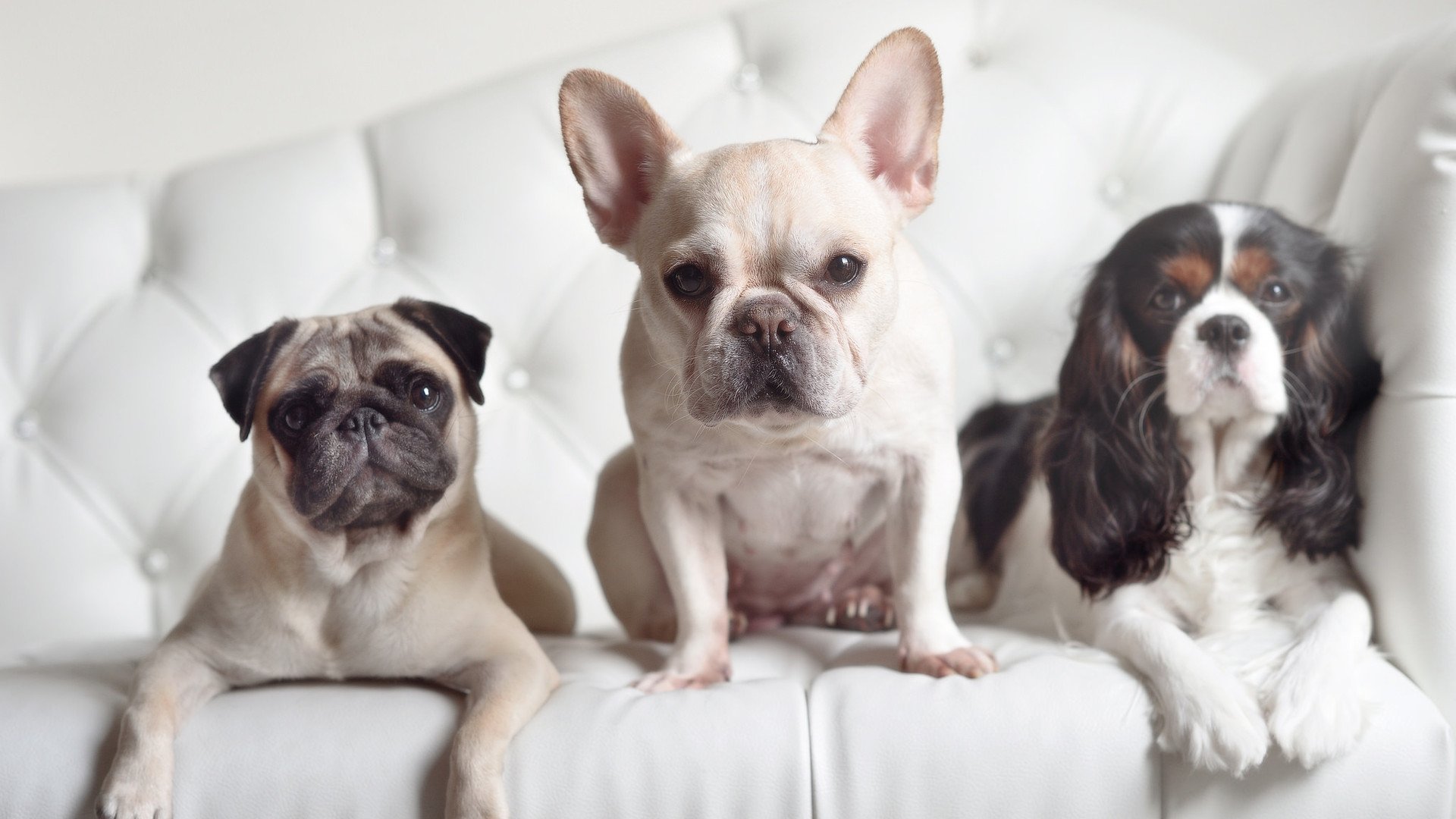 开云体育app-F1新赛季揭幕战，克莱之夜，个人能力璀璨绽放